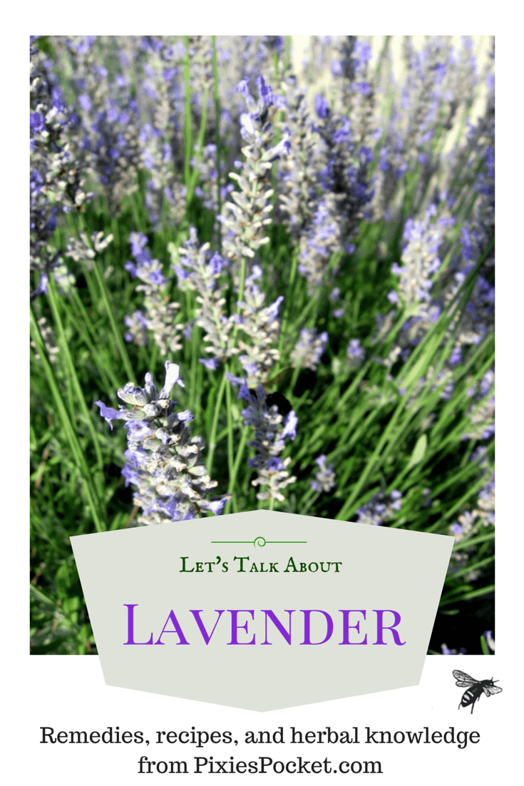 Let’s Talk About: How to use Lavender – Pixie's Pocket