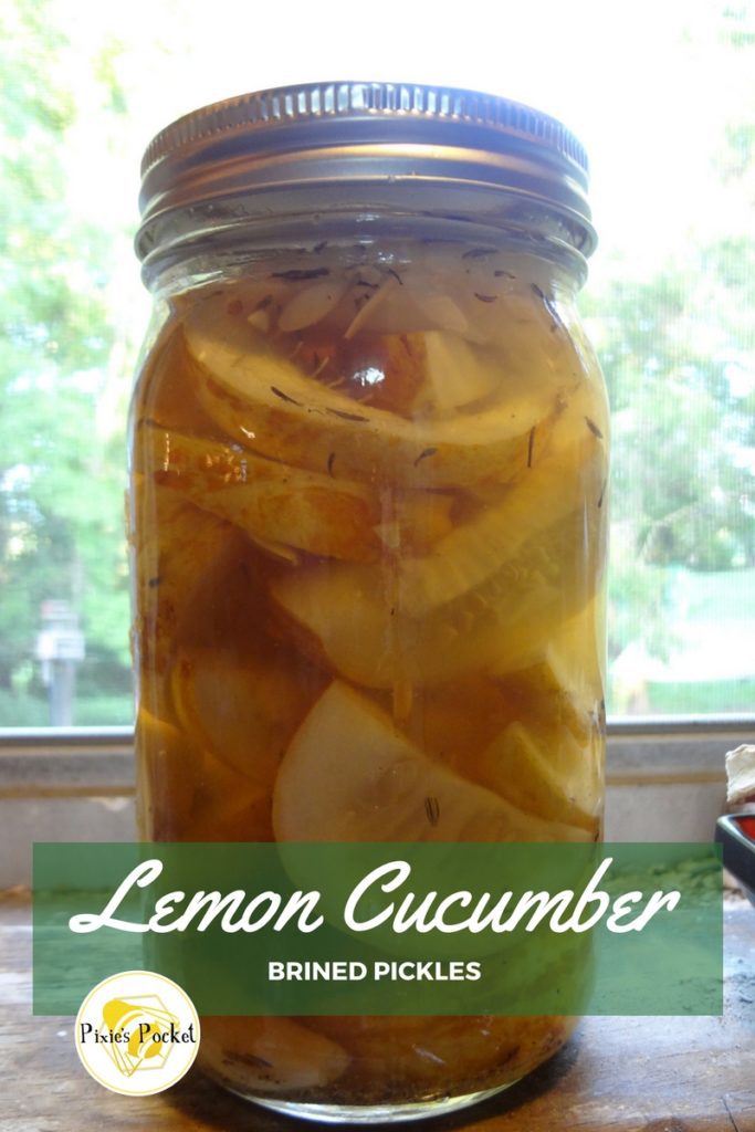 Lemon Cucumber Brined Pickles Recipe Pixies Pocket 1108