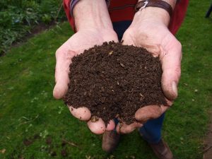 Make compost for your garden, it's easier than you think! Making compost for your garden will make sure that you have everything you need for healthy crops. You’ll need a mixture of 50/50 materials rich in nitrogen and carbon. Learn more about the basics of composting in this Pixie's Pocket guest post by Craig Holland.